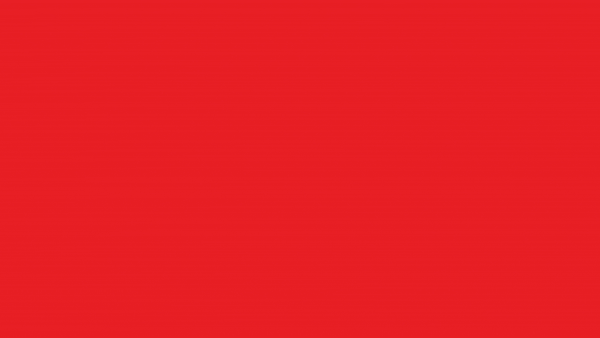 Want to get involved with Northwest Arkansas DSA? Join us!